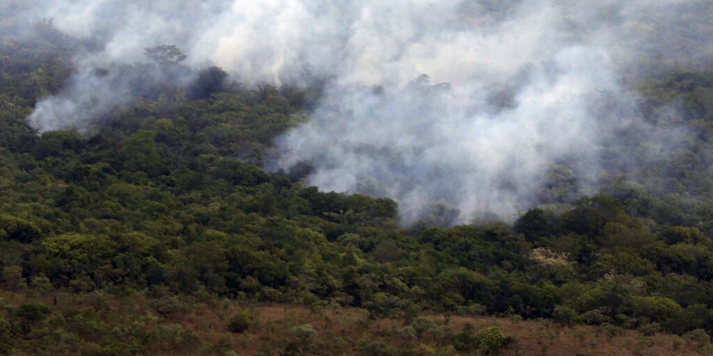 brasil-queimou-mais-de-185-milhoes-de-hectares-de-biomas-em-38-anos