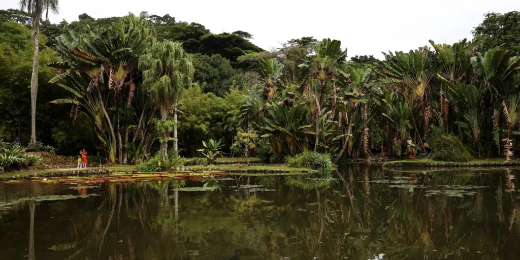 viva-maria-discute-o-papel-do-jornalismo-na-preservacao-ambiental