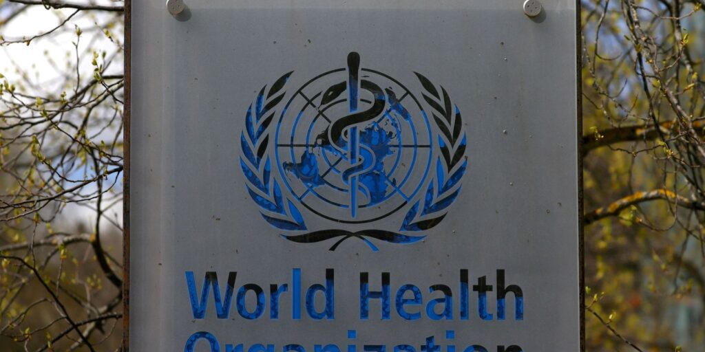 hantavirus:-oms-confirma-oito-casos-de-cepa-que-causou-surto-em-navio