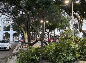 meteorologistas-dizem-que-nao-e-possivel-associar-ventanias-ao-el-nino